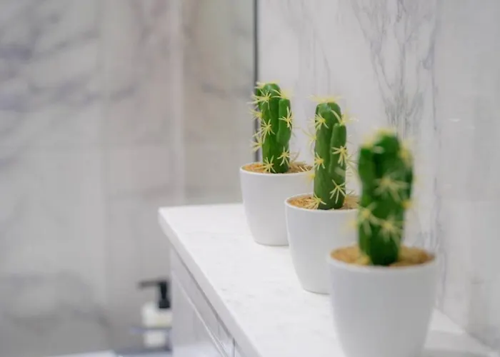 アパート Seaview Pearl In Mackenzie With Pool & Jacuzzi *